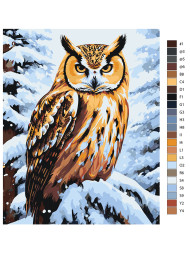 Raqamlar bo&#039;yicha rasm &quot;Qorda boyqush&quot;