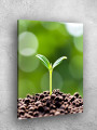 Постер на холсте &amp;quot;Росток в живой почве&amp;quot;