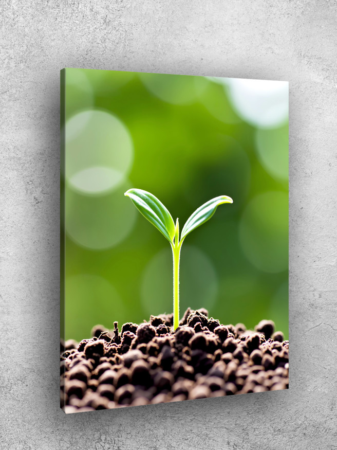 Постер на холсте &amp;quot;Росток в живой почве&amp;quot;
