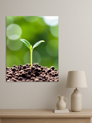 Постер на холсте &amp;quot;Росток в живой почве&amp;quot;