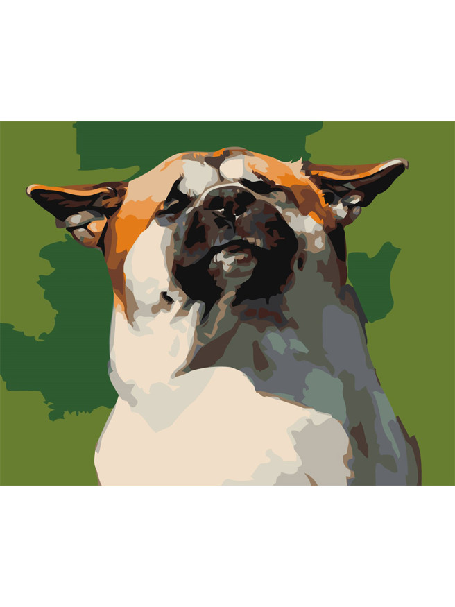 Raqamlar bo&amp;#039;yicha rasm &amp;quot;Salqin it&amp;quot;