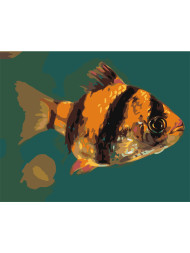 Raqamlar bo'yicha rasm "Chiziqli baliq"