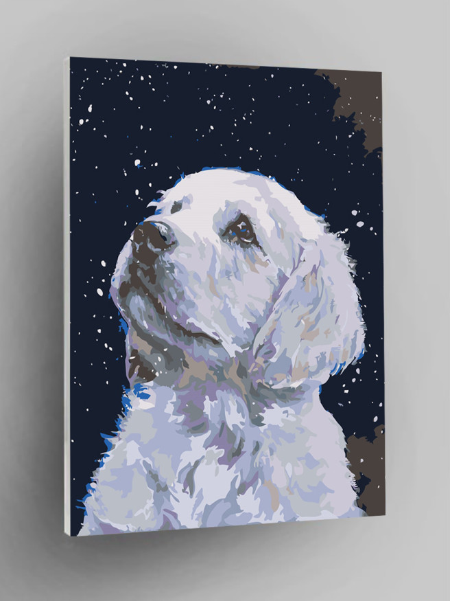 Raqamlar bo&amp;#039;yicha rasm &amp;quot;Qor iti&amp;quot;