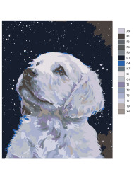 Raqamlar bo&#039;yicha rasm &quot;Qor iti&quot;