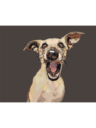 Raqamlar bo&#039;yicha rasm &quot;Ajablangan it&quot;