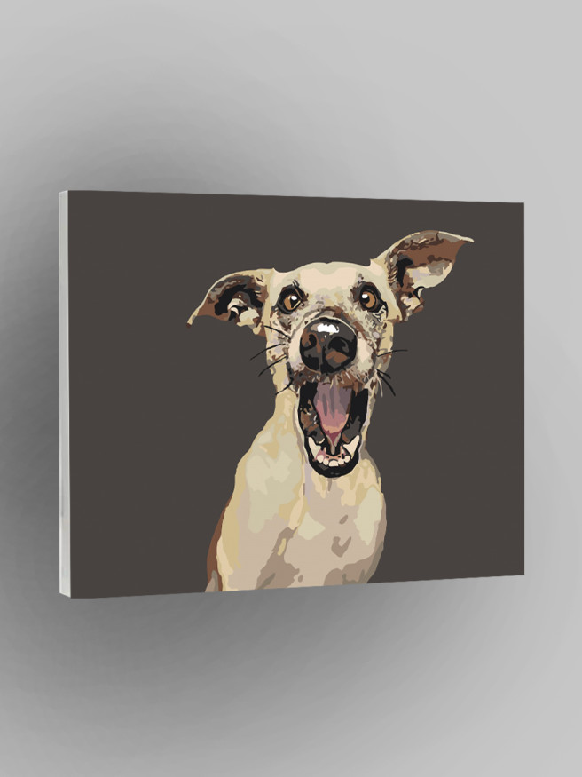 Картина по номерам &amp;quot;Удивленный пёс&amp;quot;