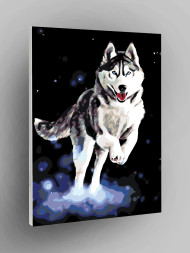 Raqamlar bo&#039;yicha rasm &quot;Sibir xaski&quot;