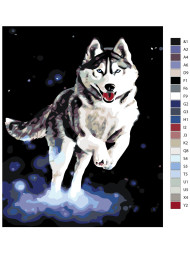 Raqamlar bo&#039;yicha rasm &quot;Sibir xaski&quot;