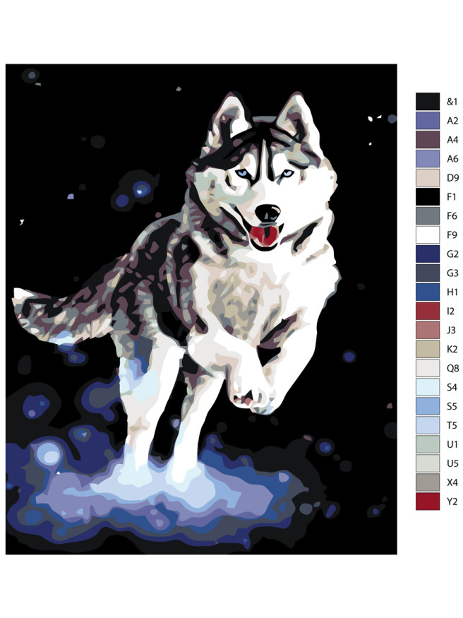 Raqamlar bo&amp;#039;yicha rasm &amp;quot;Sibir xaski&amp;quot;