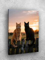 Постер на холсте &amp;quot;Коты на заборе на закате&amp;quot;