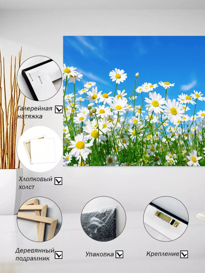 Постер на холсте &amp;quot;Ромашковое поле под небом&amp;quot;