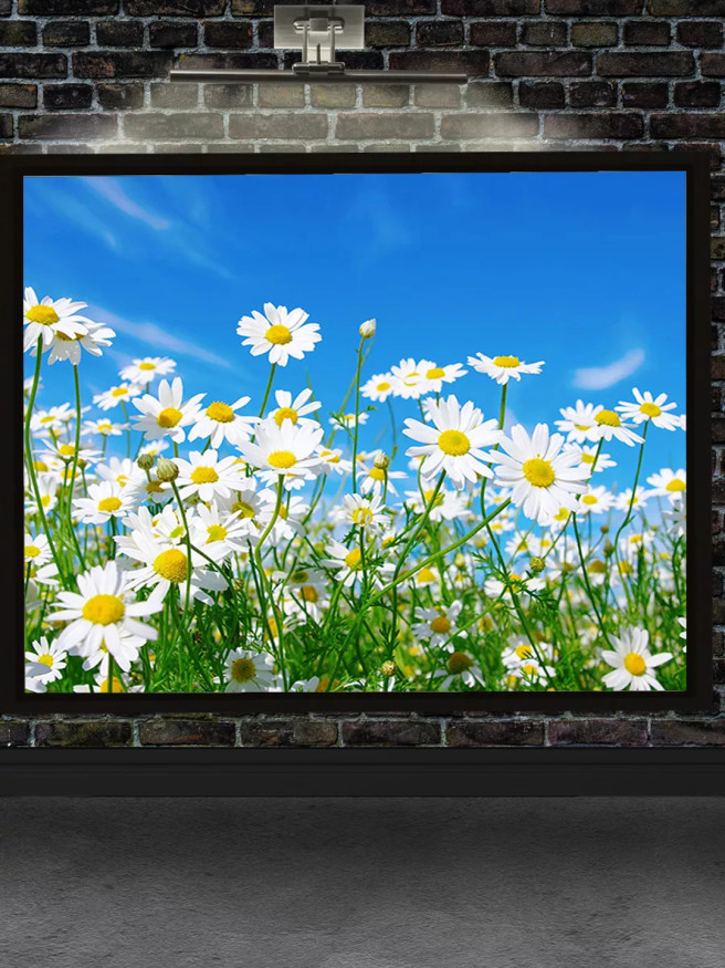 Постер на холсте &amp;quot;Ромашковое поле под небом&amp;quot;