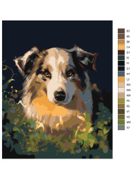 Raqamlar bo&#039;yicha rasm &quot;Yoqimli it&quot;