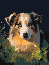 Raqamlar bo&#039;yicha rasm &quot;Yoqimli it&quot;