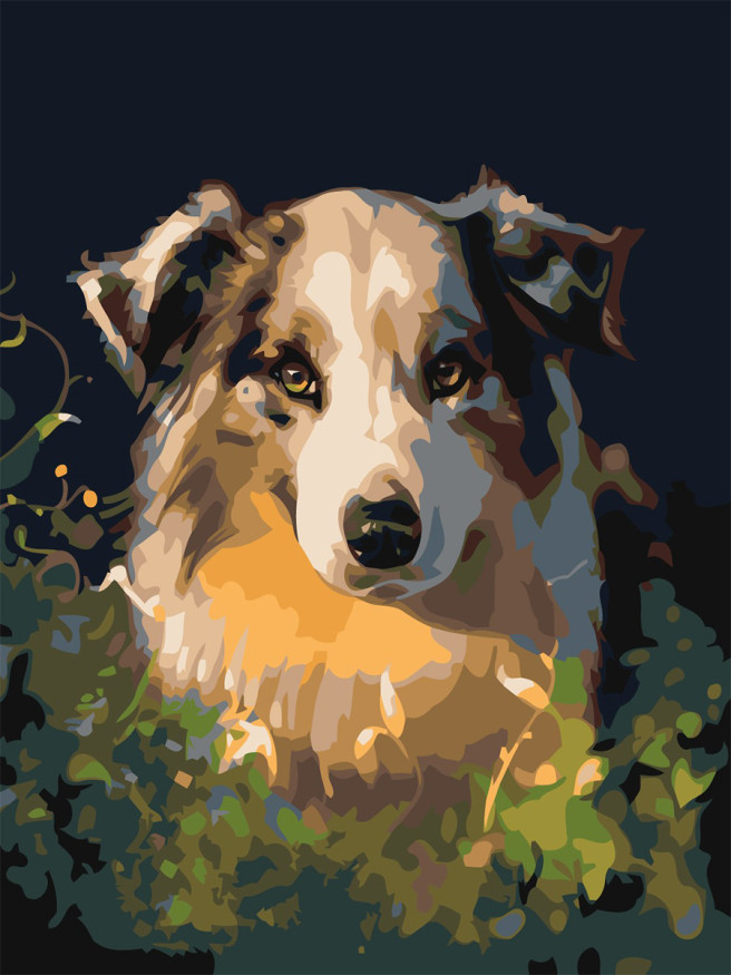 Raqamlar bo&amp;#039;yicha rasm &amp;quot;Yoqimli it&amp;quot;