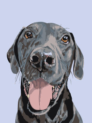 Raqamlar bo'yicha rasm "It"