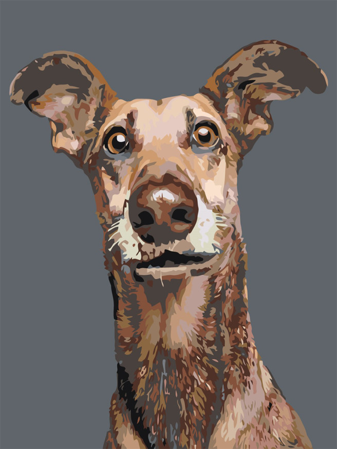 Raqamlar bo&amp;#039;yicha rasm &amp;quot;It&amp;quot;