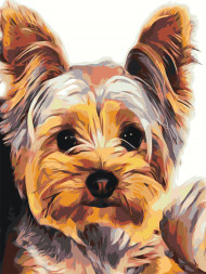 Картина по номерам "Преданная собака"