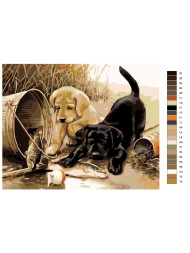 Raqamlar bo'yicha rasm "Ikki kuchukcha"