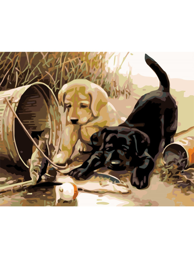 Raqamlar bo&amp;#039;yicha rasm &amp;quot;Ikki kuchukcha&amp;quot;