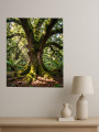 Постер на холсте &amp;quot;Лесное дерево с извилистыми корнями&amp;quot;