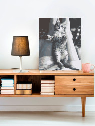 Raqamlar bo&#039;yicha rasm &quot;Nopok mushuk&quot;