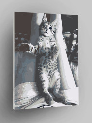 Raqamlar bo&#039;yicha rasm &quot;Nopok mushuk&quot;