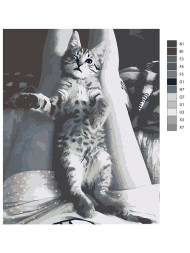 Raqamlar bo&#039;yicha rasm &quot;Nopok mushuk&quot;