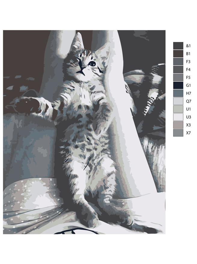 Raqamlar bo&amp;#039;yicha rasm &amp;quot;Nopok mushuk&amp;quot;