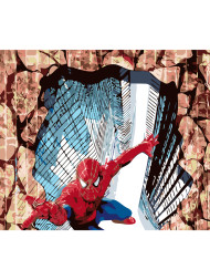 Raqamlar bo&#039;yicha rasm &quot;O&#039;rgimchak-odam&quot;