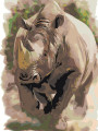 Картина по номерам &amp;quot;Носорог&amp;quot;