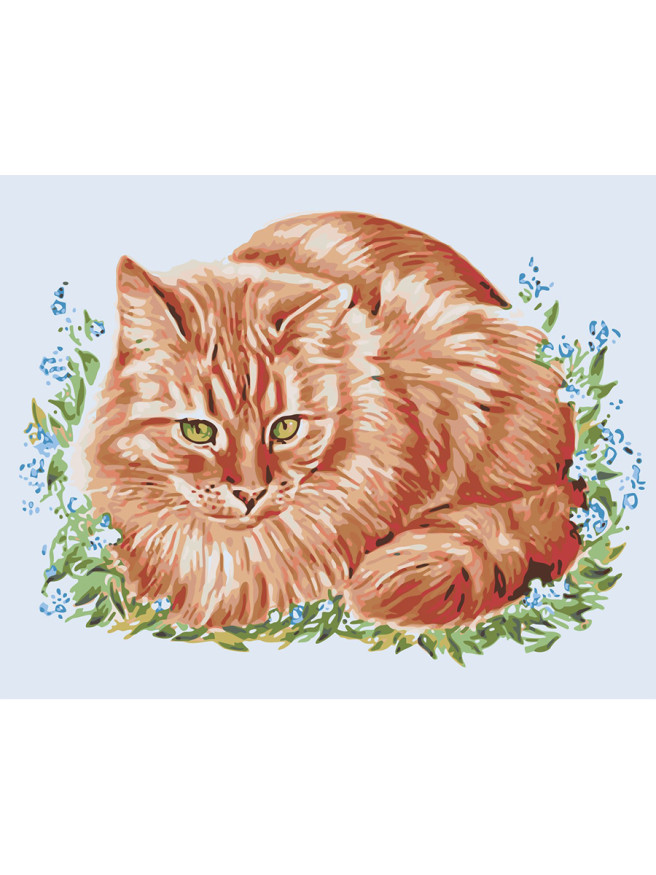 Картина по номерам &amp;quot;Рыжий кот&amp;quot;