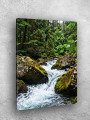 Постер на холсте &amp;quot;Горный ручей в зелёном лесу&amp;quot;