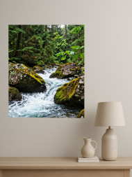 Постер на холсте &amp;quot;Горный ручей в зелёном лесу&amp;quot;