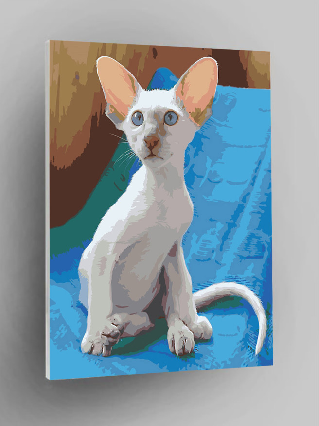 Raqamlar bo&amp;#039;yicha rasm &amp;quot;Uzun quloqli mushuk&amp;quot;