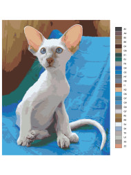 Картина по номерам &amp;quot;Ушастый котик&amp;quot;