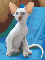 Картина по номерам &amp;quot;Ушастый котик&amp;quot;