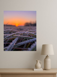 Постер на холсте &amp;quot;Инистая трава с каплями на рассвете&amp;quot;