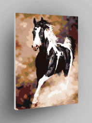 Raqamlar bo&#039;yicha rasm &quot;Oq-qora ot&quot;