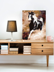 Raqamlar bo&#039;yicha rasm &quot;Oq-qora ot&quot;