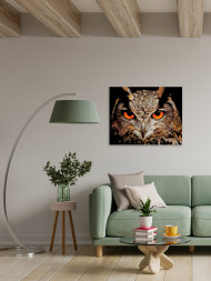 Raqamlar bo&#039;yicha rasm &quot;Tungi ukki&quot;