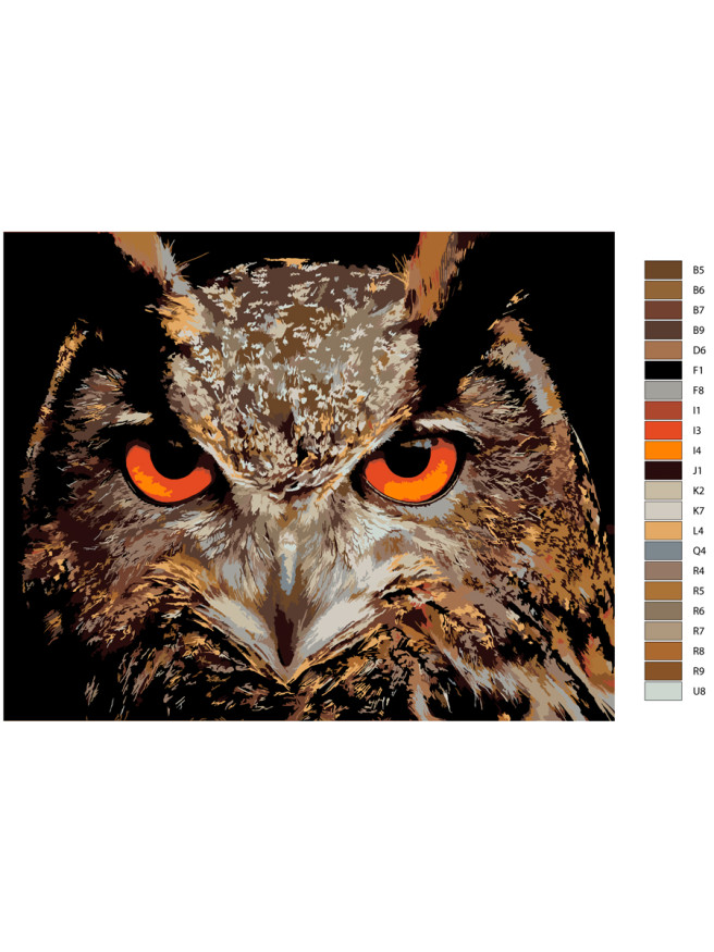 Raqamlar bo&amp;#039;yicha rasm &amp;quot;Tungi ukki&amp;quot;