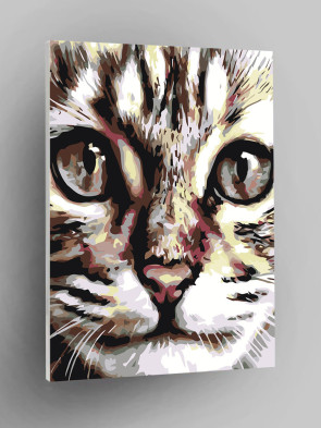 Ular bir-birlariga video korishayotganda jim turishadi