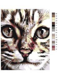 Raqamlar bo&#039;yicha rasm &quot;Yaxshi mushuk&quot;