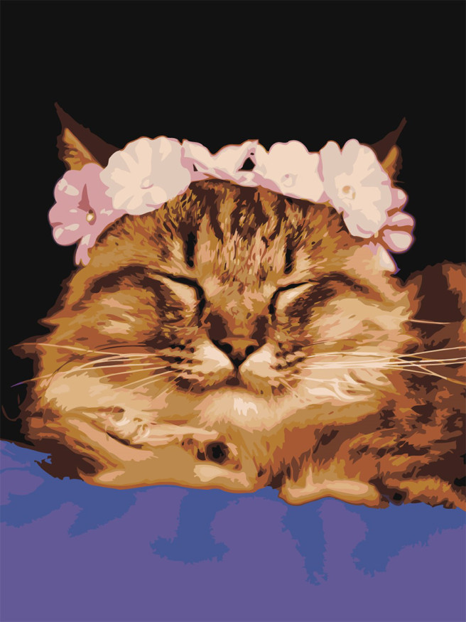 Raqamlar bo&amp;#039;yicha rasm &amp;quot;Gullar bilan mushuk&amp;quot;