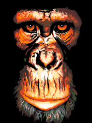 Картина по номерам &amp;quot;Портрет обезьяны&amp;quot;