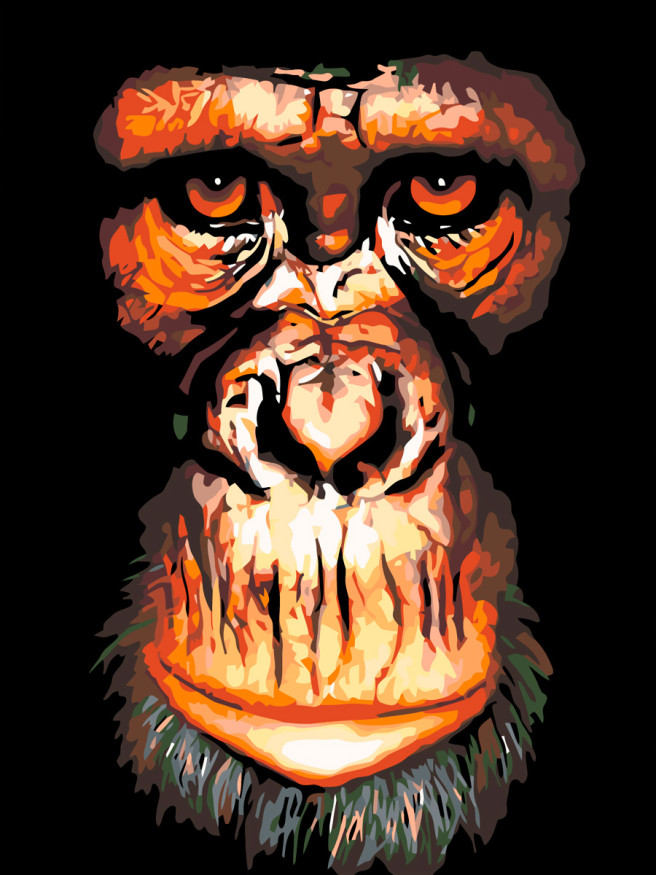 Raqamlar bo&amp;#039;yicha rasm &amp;quot;Maymun rasmi&amp;quot;