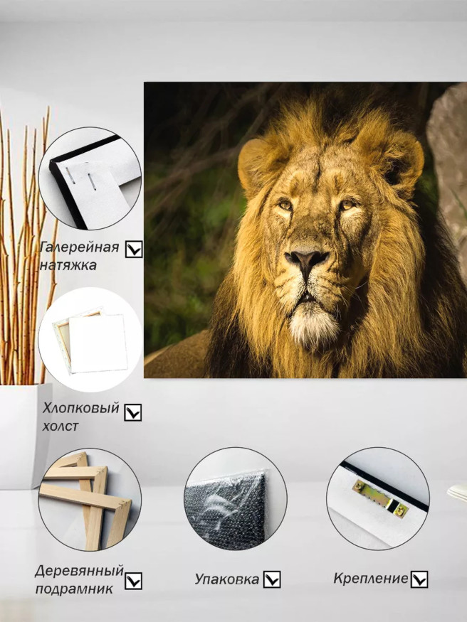 Holstga bosilgan poster &amp;quot;Sherning nigohi&amp;quot;