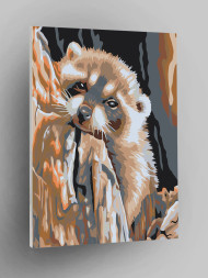 Картина по номерам &amp;quot;Уставший енот&amp;quot;