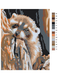 Картина по номерам &amp;quot;Уставший енот&amp;quot;